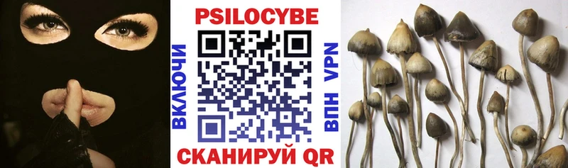 Галлюциногенные грибы Psilocybe  Светлоград 